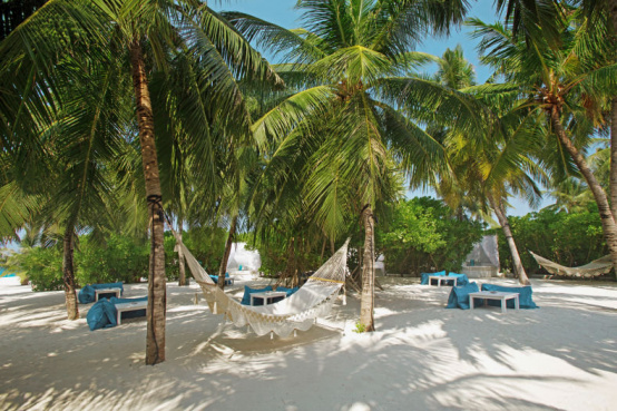 Last Minute Malediven auf Velassaru Island Resort 